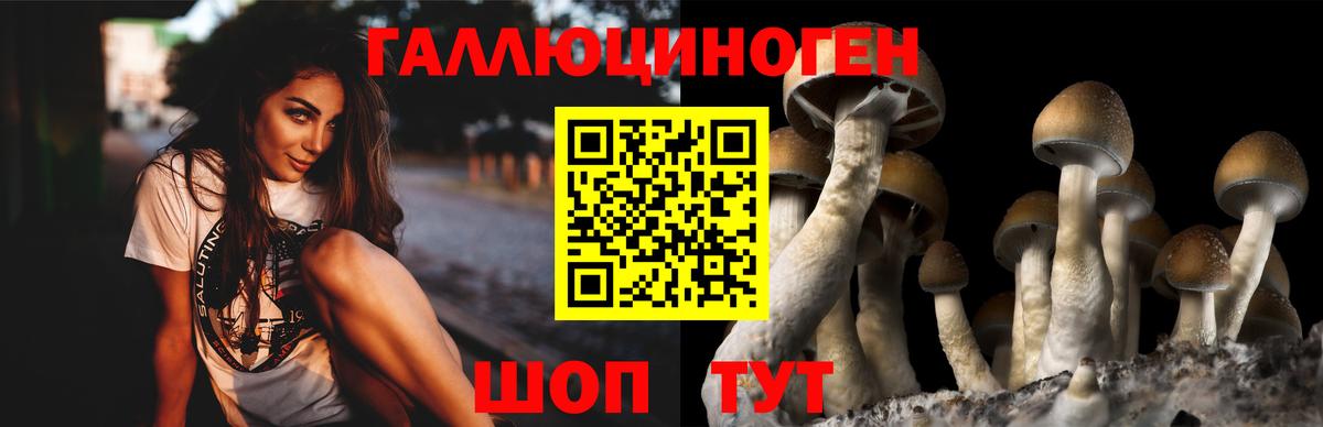 магазин  наркотиков  Вход с VPN  Ишим  Псилоцибиновые грибы Magic Shrooms 